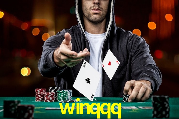winqqq